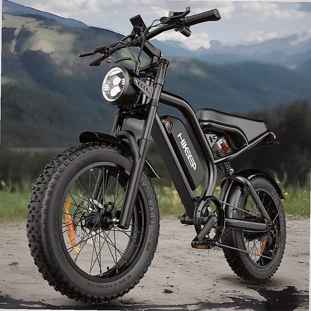 Hikeep 20" Fat Tire Electric Bike 1000W Peak 48V 15Ah E-Bike Bicycle for Adults